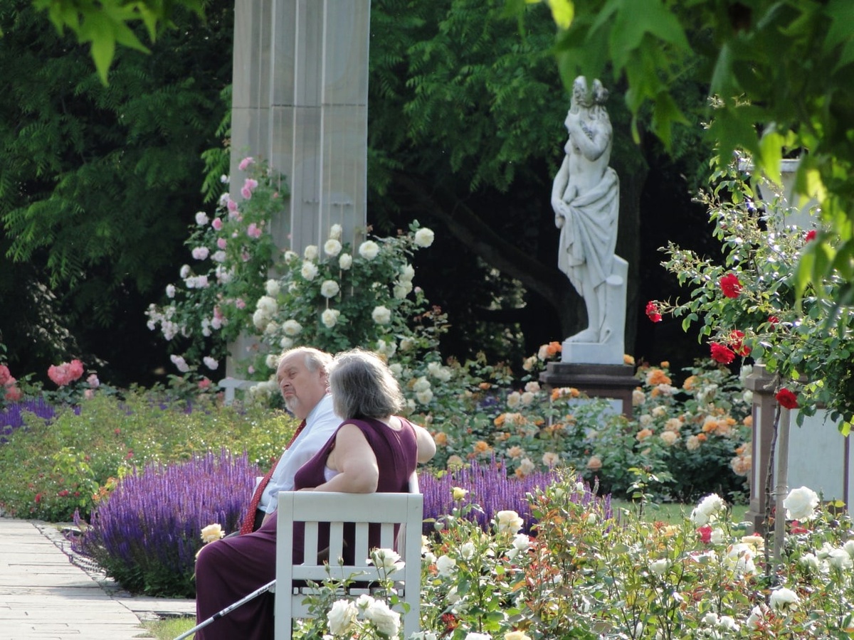 Лаванда и розы в Пальменгартене, 2010.