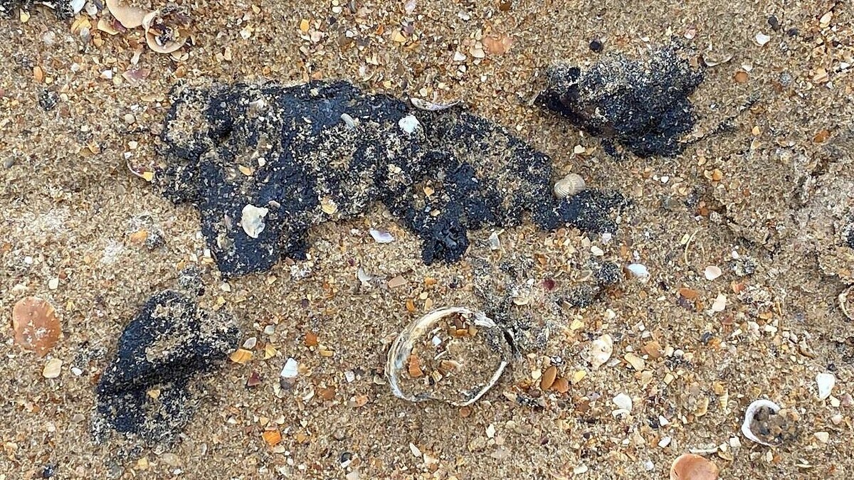    Фото: телеканал «Краснодар»