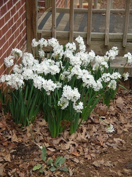 откуда то в картинка Яндекс