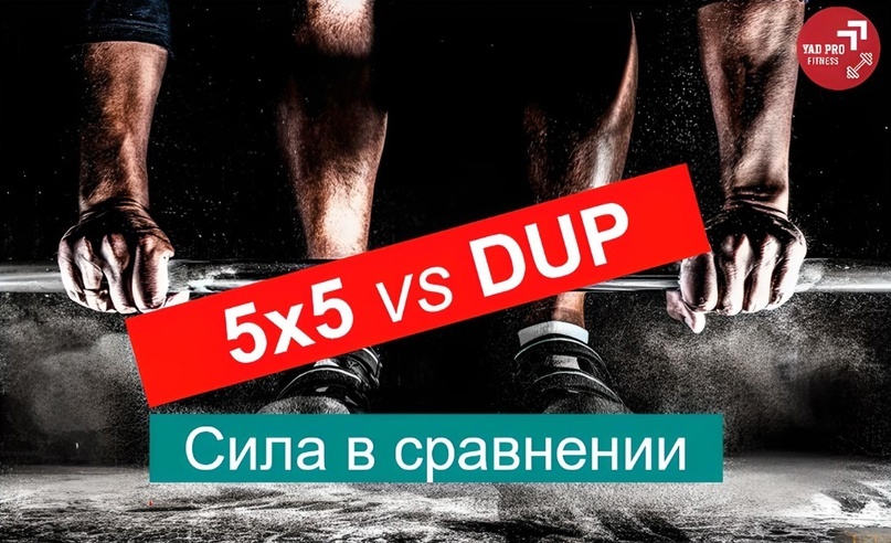 5x5 против DUP | YADPROFitness