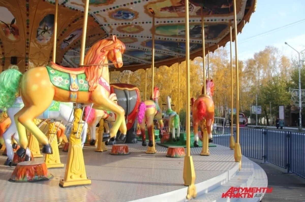    Часть парка «Молодёжный» в Ульяновске на 20 лет сдадут в аренду