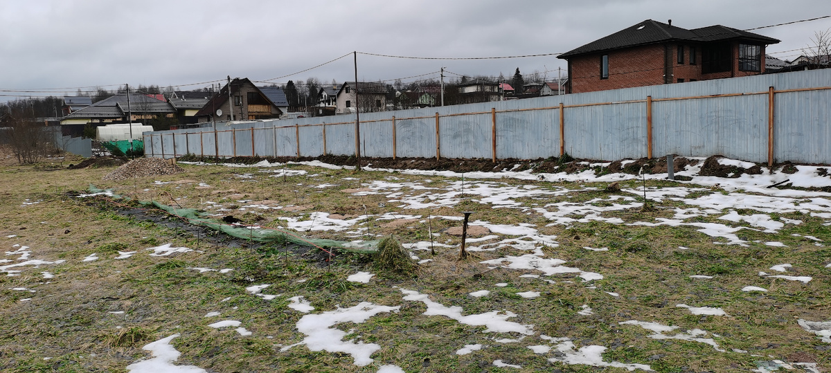 02.02.2025, Владимирская область.