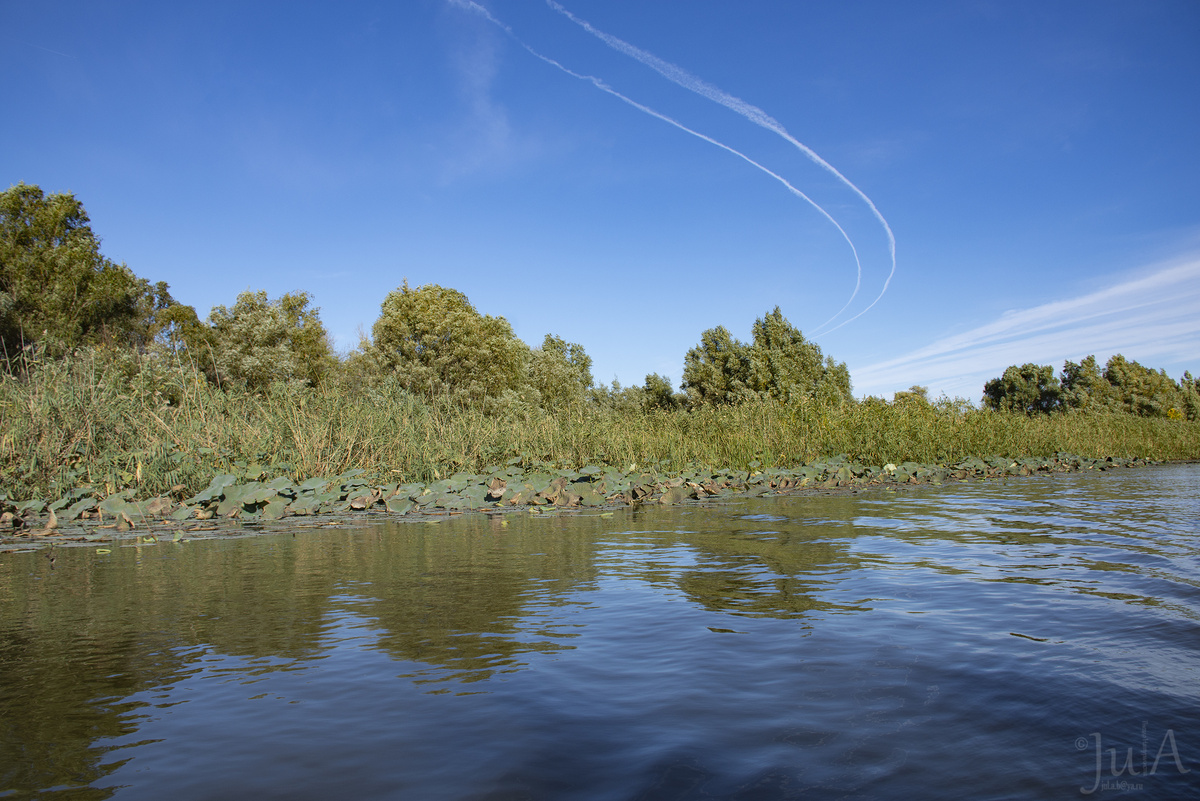 Дельта Волги - Рамсарские угодья с 11.10.1976. Фото сделаны автором в сентябре 2024 г. 