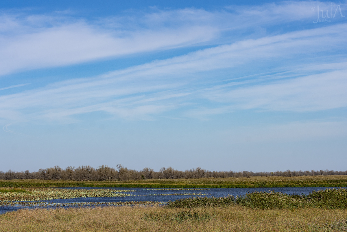 Дельта Волги - Рамсарские угодья с 11.10.1976. Фото сделаны автором в сентябре 2024 г. 
