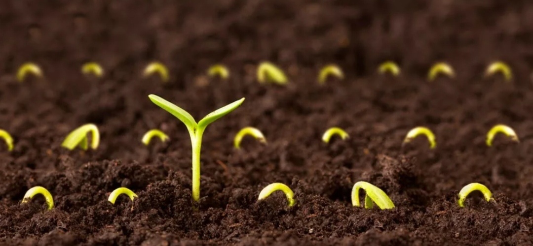 Иллюстрация к теме