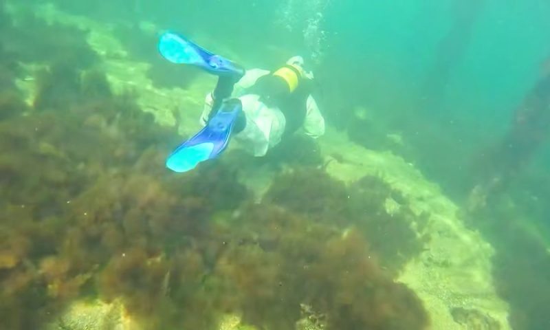    Фото t.me/opershtab23