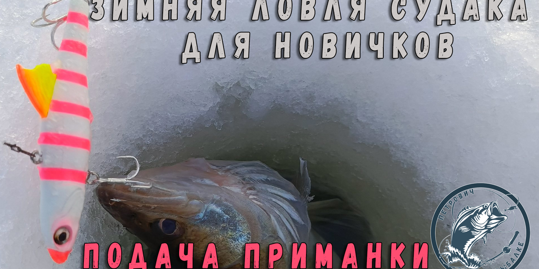 Подача приманки. Зимняя ловля судака для новичков.