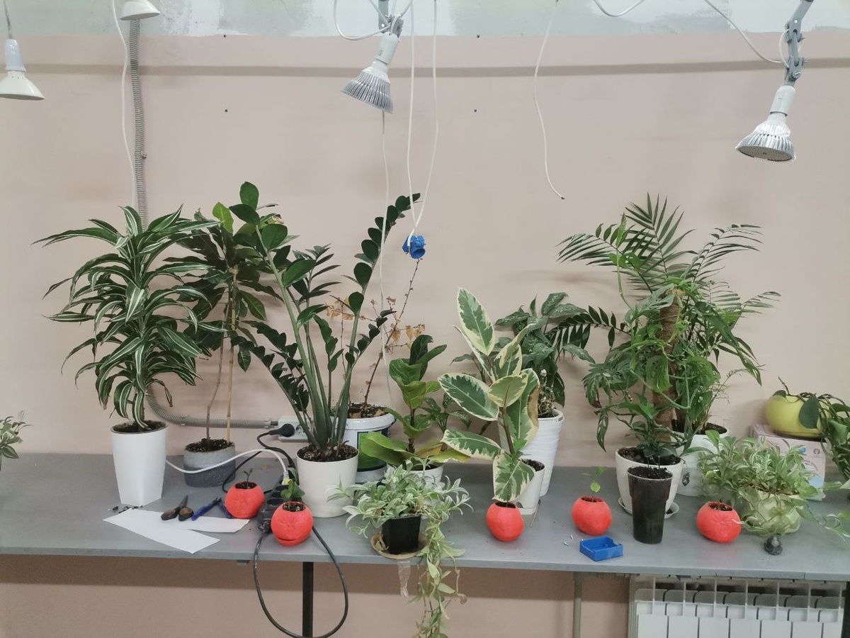 Вот они. Стоят, ждут обновлений.