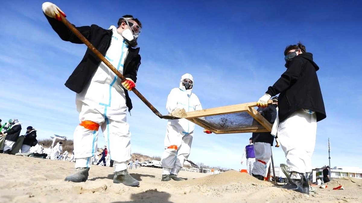    Добровольцы из Югры отправятся в Анапу с экологической миссией