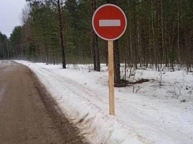     Фото: пресс-служба Минтранс Новгородской области