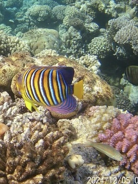 Фото Александр Бут