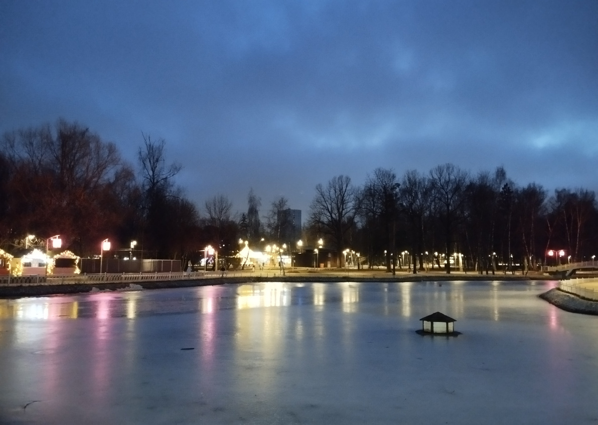 Парк Лианозово. 31.01.2025 г, пятница. ЗДЕСЬ и далее фото автора и(или) из личного архива автора, если не указано иначе.