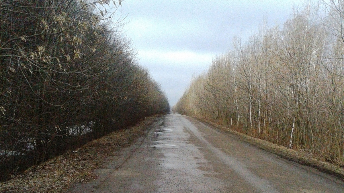    Бусаргин: новая дорога соединит два района области в 2025 годуНовости Саратова и области – Сетевое издание «Репортер64»