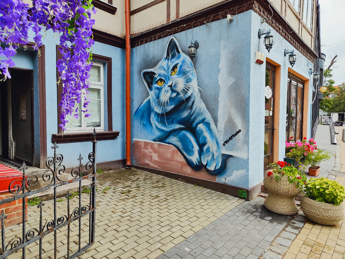 Фото автора.