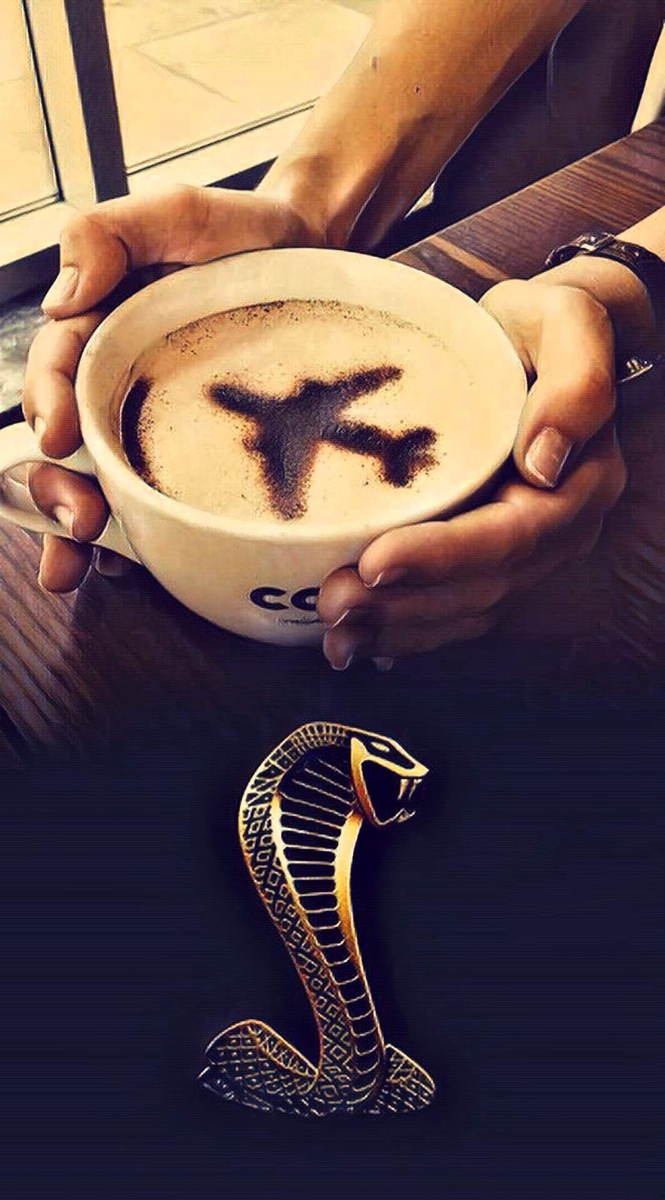 Фотоколлаж автора статьи 