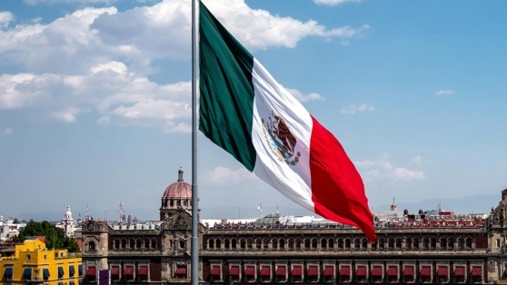    В Германии сообщили, что пошлины США на импорт из Мексики ударят по европейским компаниям Виктория Шварц