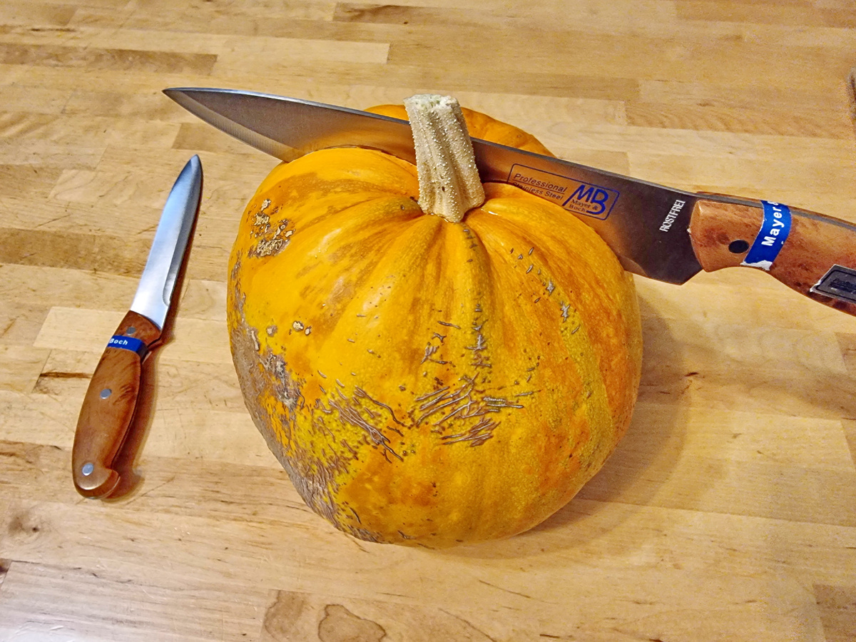 Голосемянная тыква с нашего огорода. Фото автора статьи.