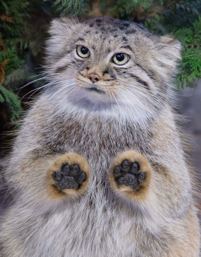 Источник: dzen.ru