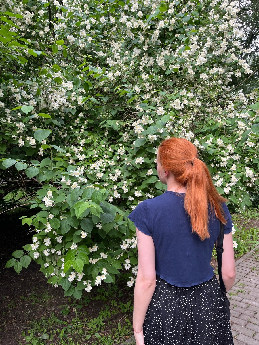 Ждёте весну?