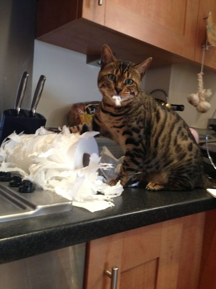 Фото из Интернета.