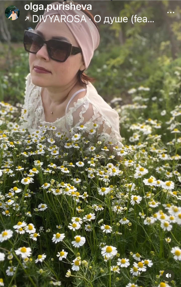 Ромашковое поле у себя во дворе