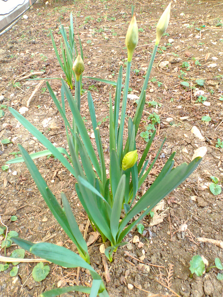 Сегодня. Фото автора канала