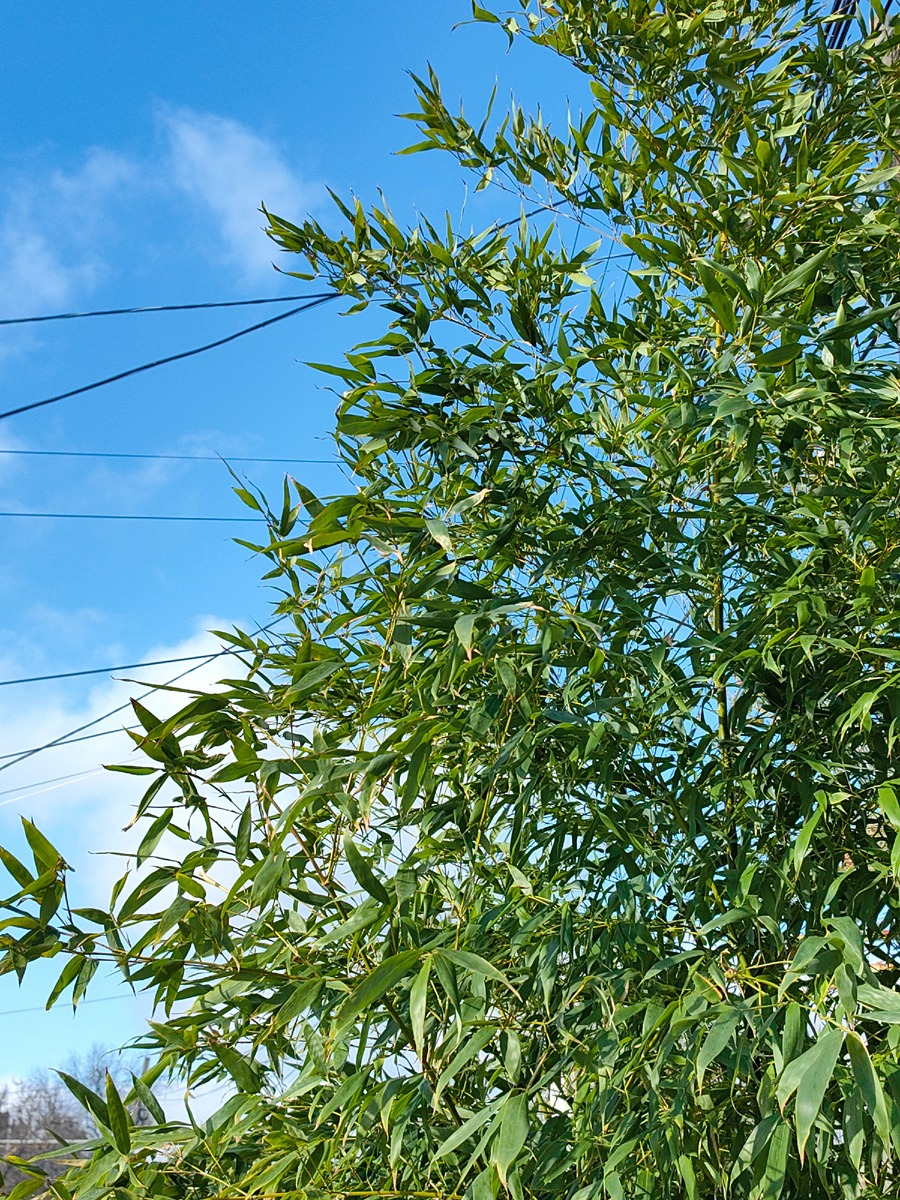 Сегодня. Фото автора канала