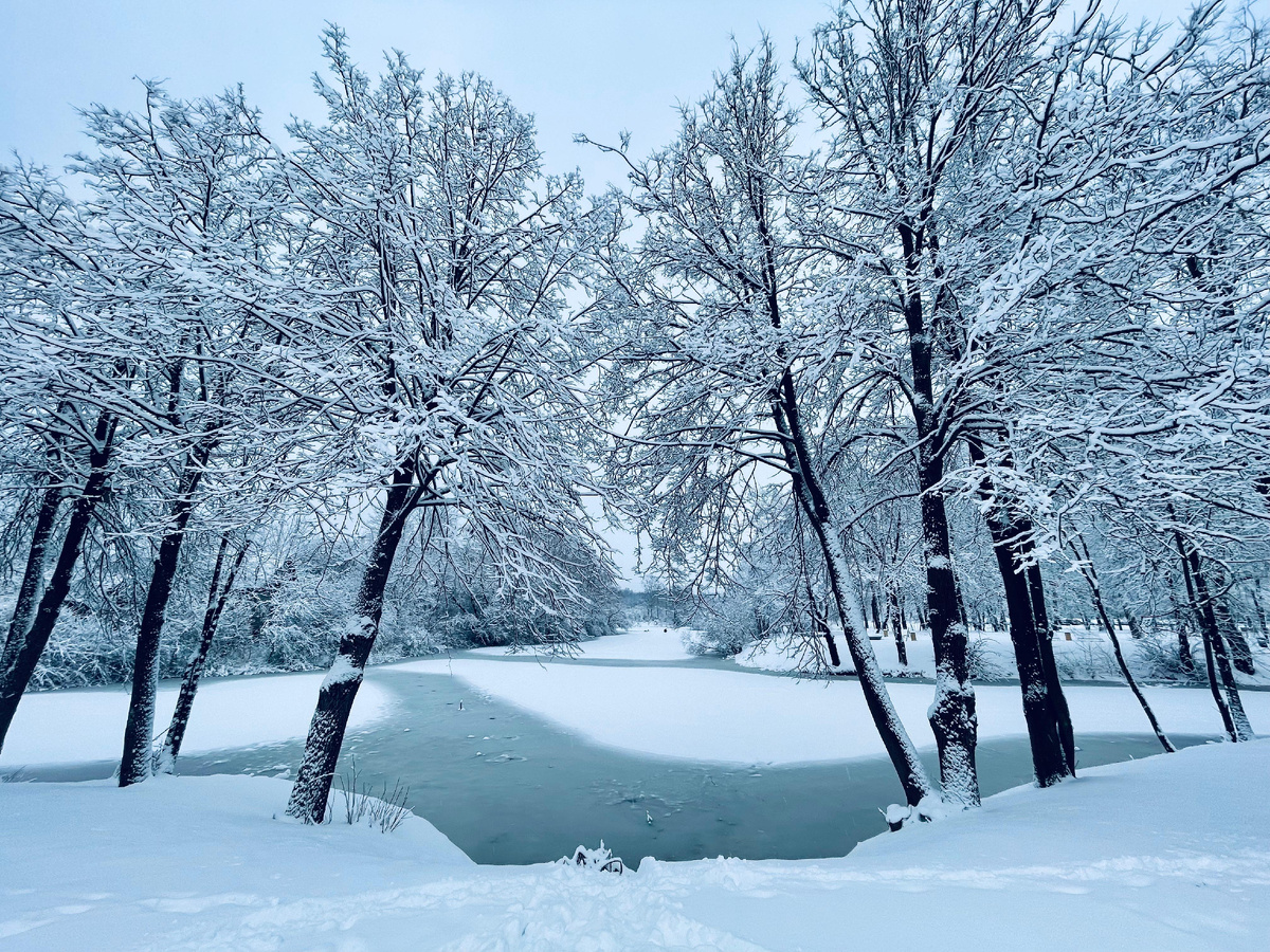 winter