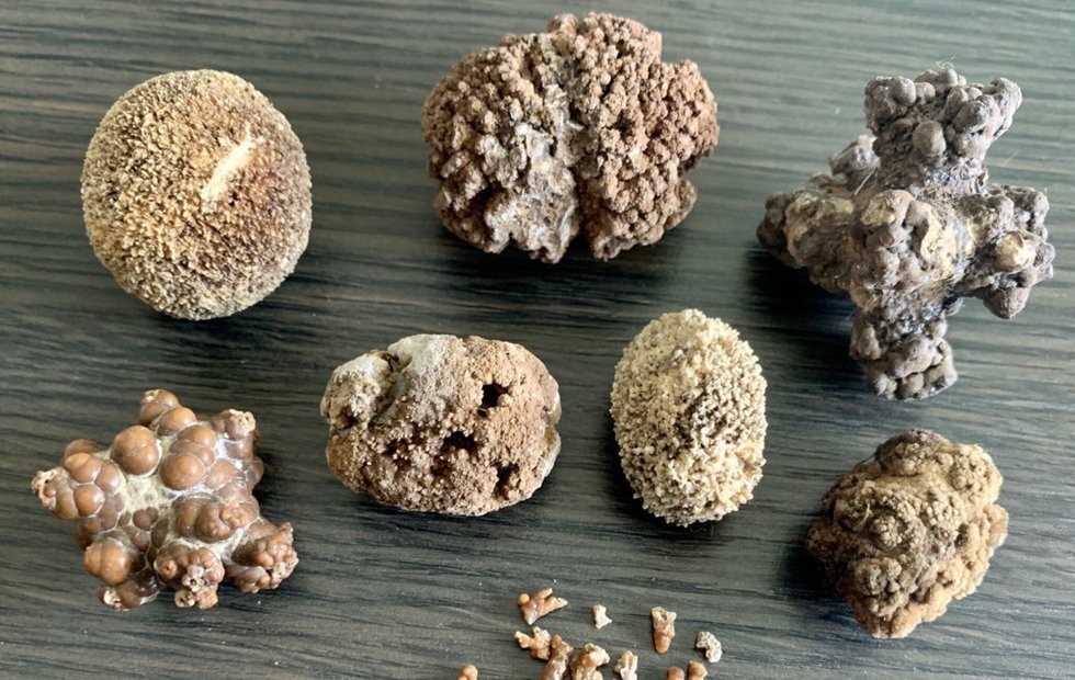 Фото: isctelitel.ru