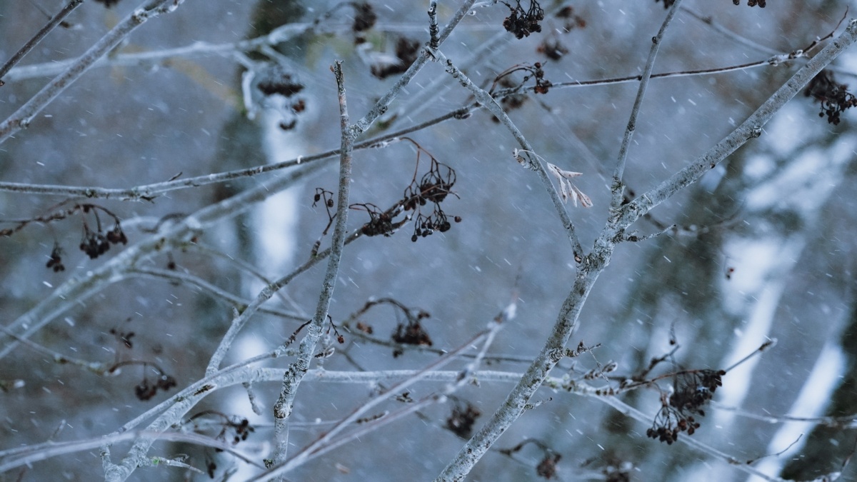 Светлана Мулыкина📷
