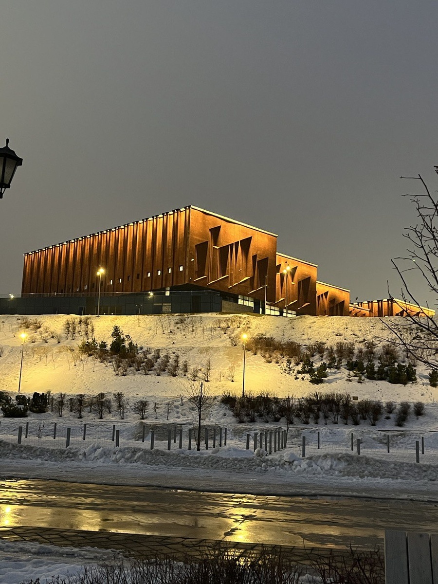 Библиотека в свете фонарей 