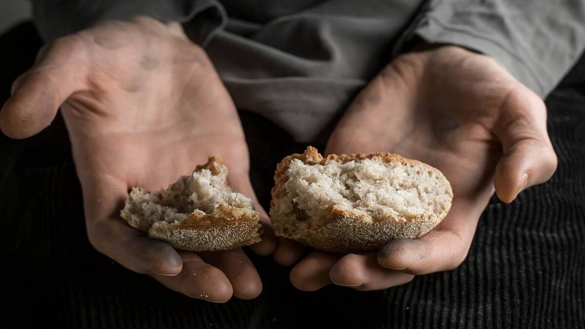    Фото: shutterstock