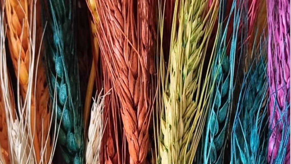 2 февраля, 2025   Африка, Нормативный, Сельское хозяйство, Торговля 