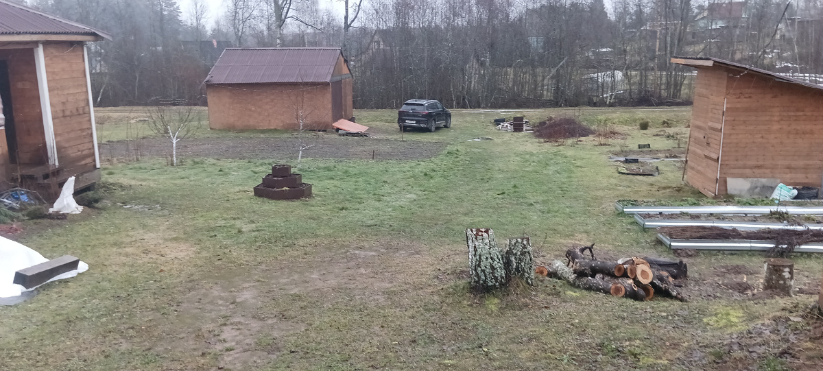 Первое февраля в Лен. области (