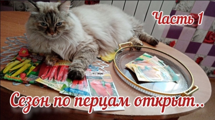 моя главная помошница кошка Маруся(Марфинка) сезон уже открыла, семена проверила, хорошо хоть не на зуб)