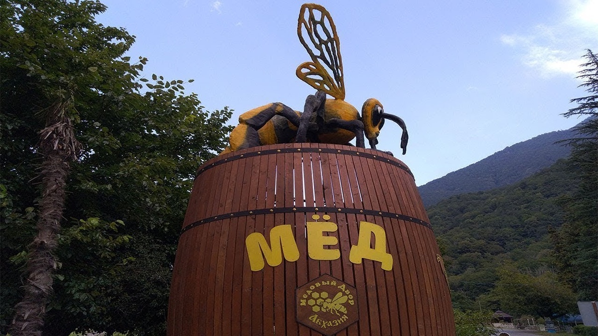 Фото днём из открытого источника