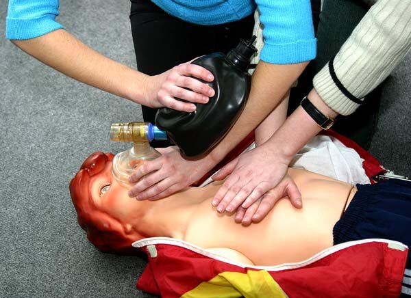 Самые необычные залоги 2024 года: от робота Гоши до пчёл и театров. Источник фото - https://gosha-01.ru/