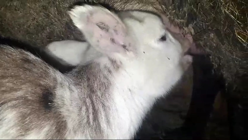 Малышам везде у нас дорога...