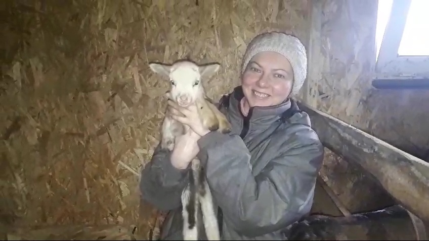 У меня на руках Баранчик-с-пальчик