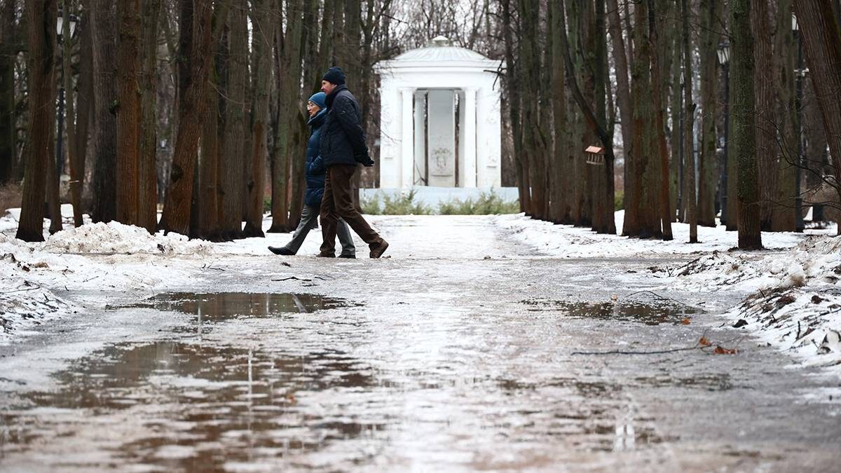    Фото: Ярослав Чингаев / АГН Москва