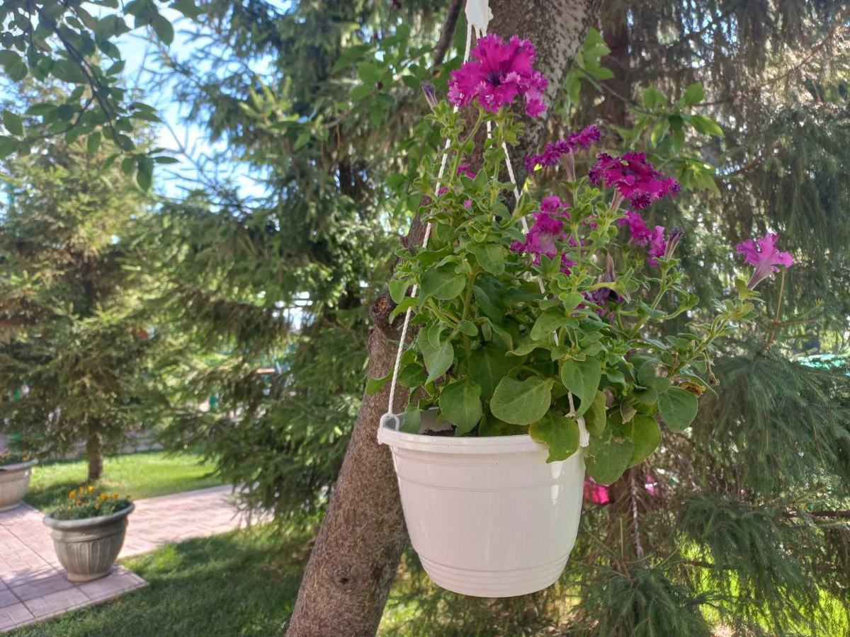 Фото автора.