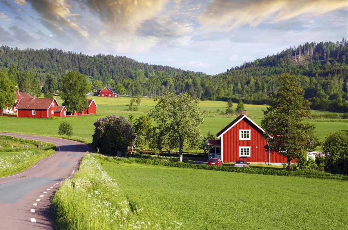 Фото из и нтернета. В оригинальном цвете