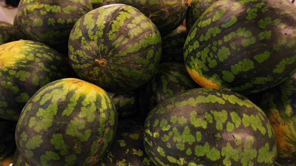 Фото: Александр Кряжев / Коммерсантъ