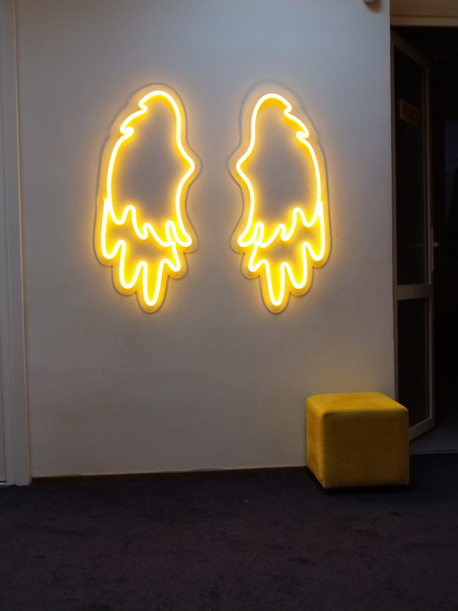 Фото никого