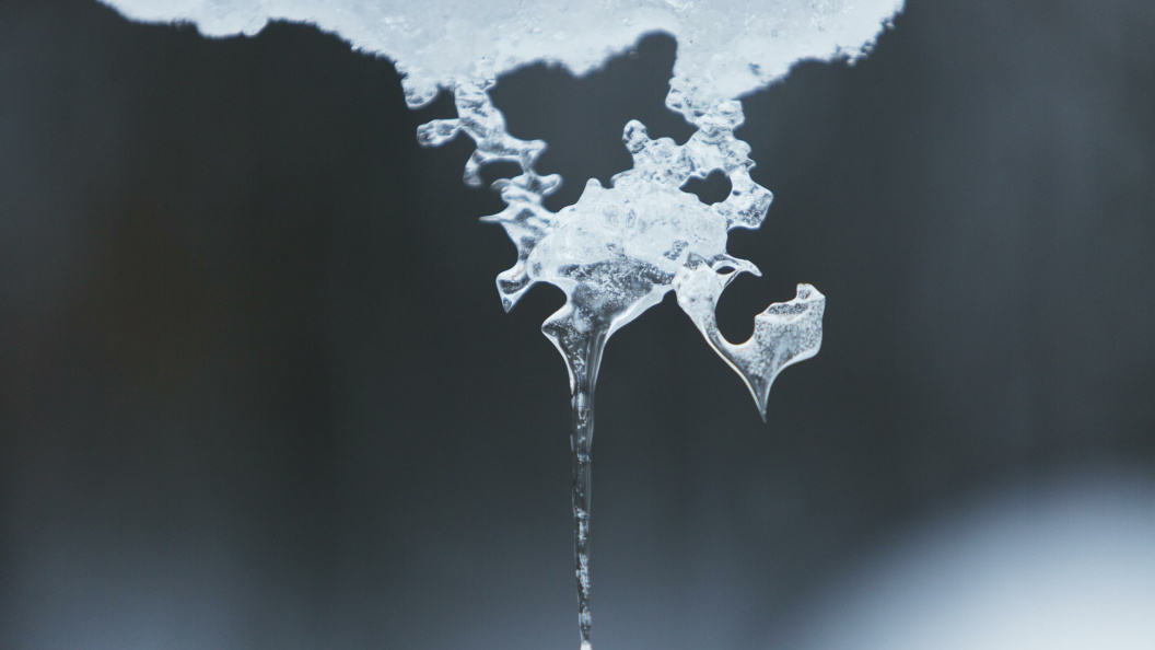    Фото: Nikolay Gyngazov/Globallookpress.