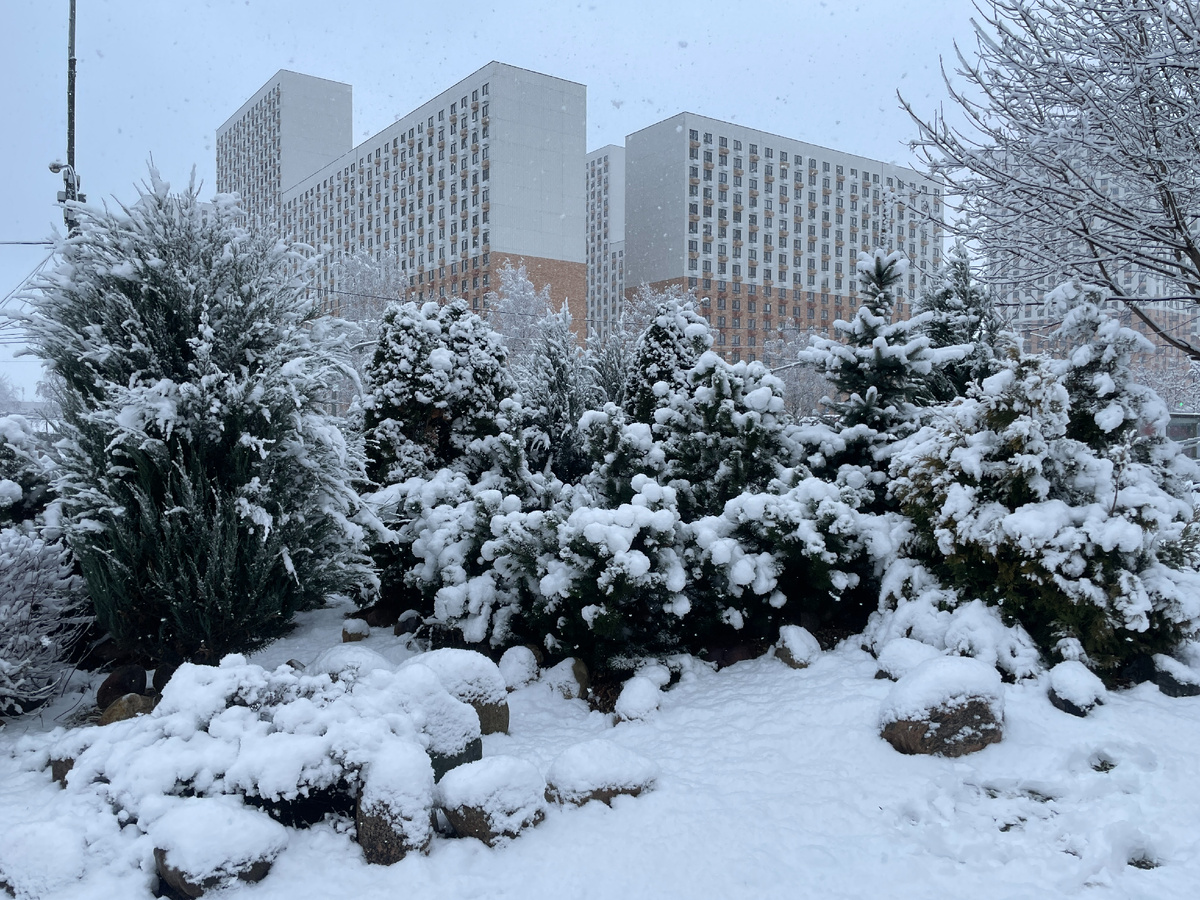 Москва в декабре 2025