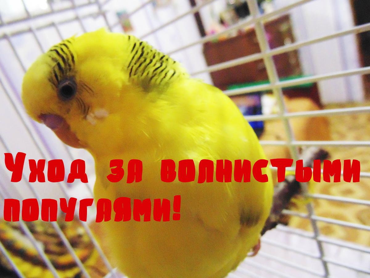 Обложка из моего ютуб видео