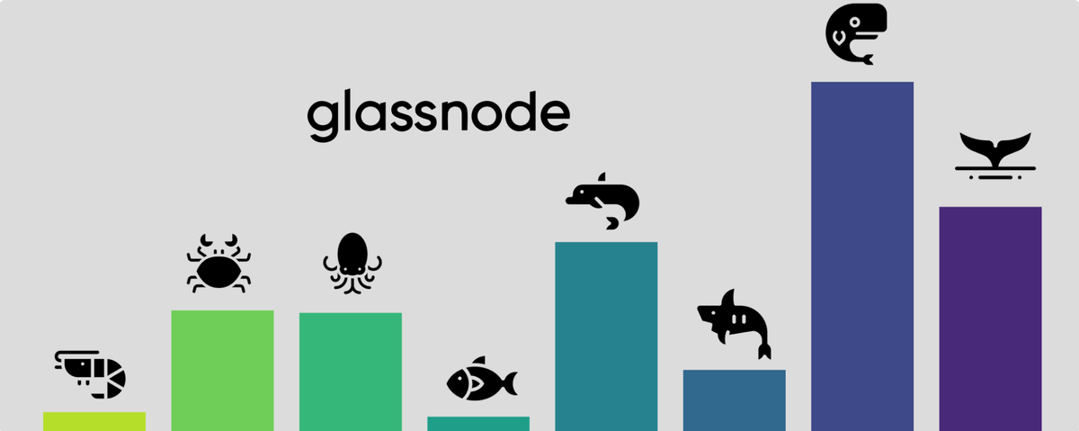 Как использовать данные из Glassnode для анализа криптовалют