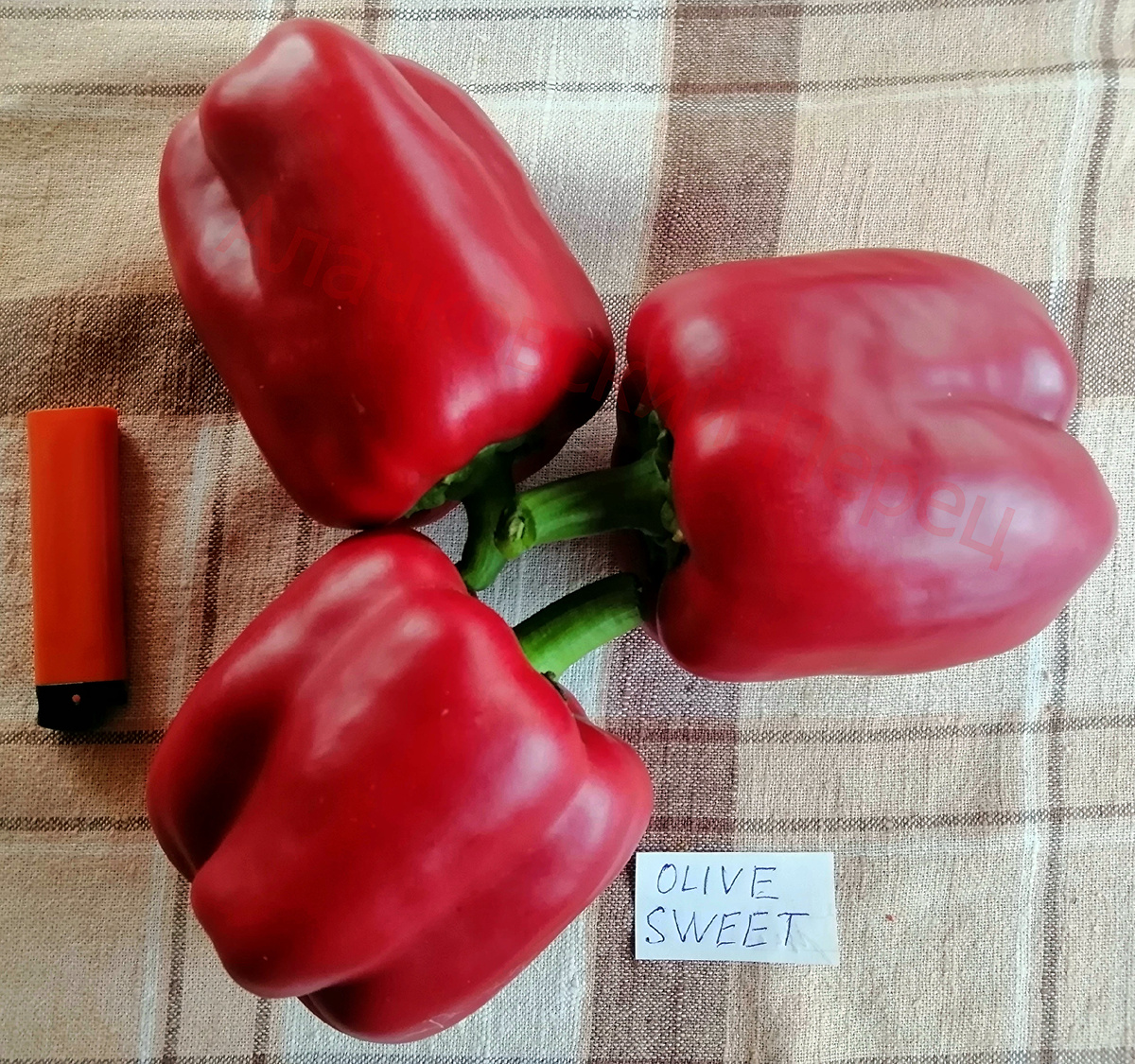 Olive Sweet (Оливковый сладкий)