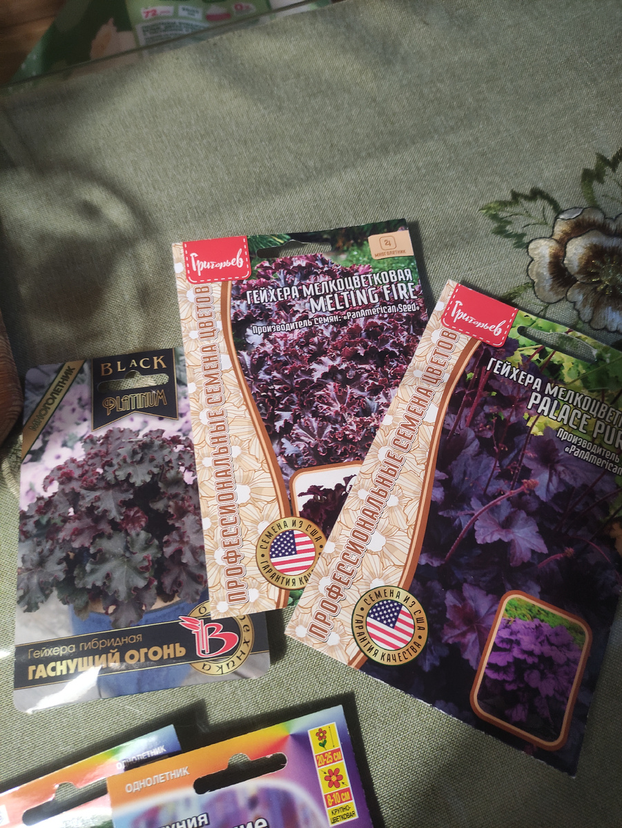 Три сорта гейхеры.